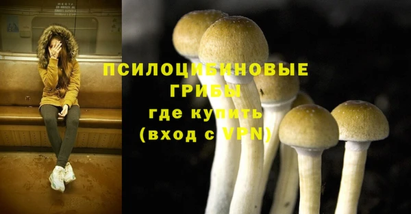 соль ск Корсаков