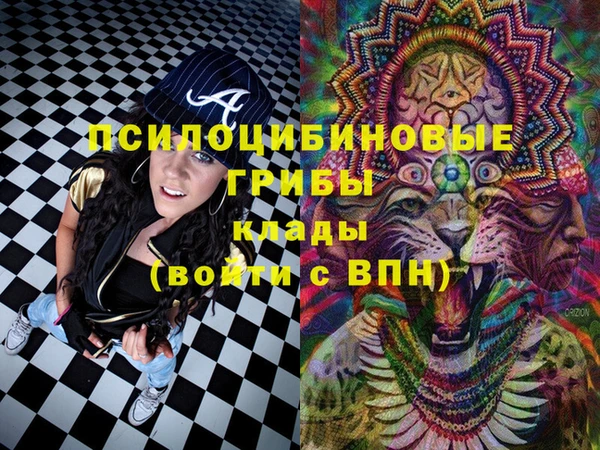 соль ск Корсаков