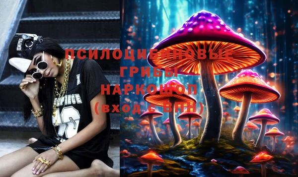 соль ск Корсаков