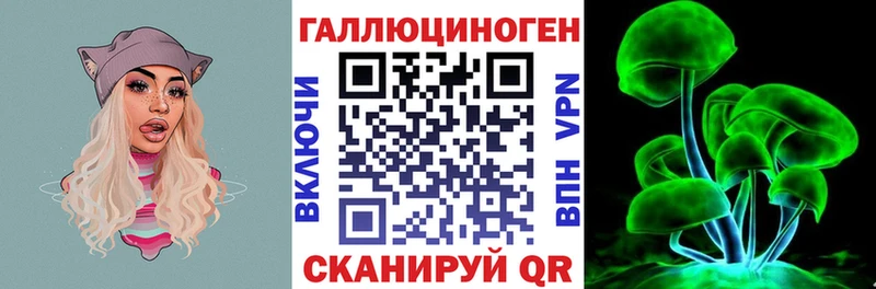 купить наркотики цена  Курчатов  Галлюциногенные грибы мицелий 